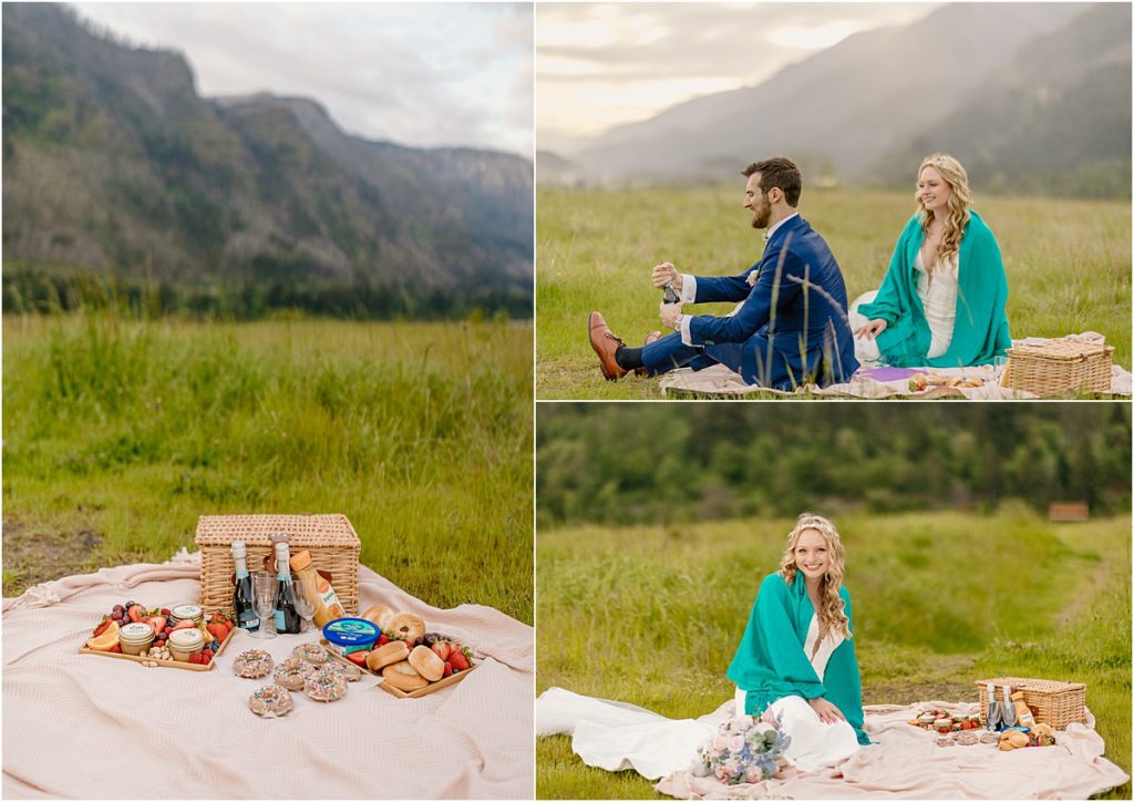 Picnic at your Elopement